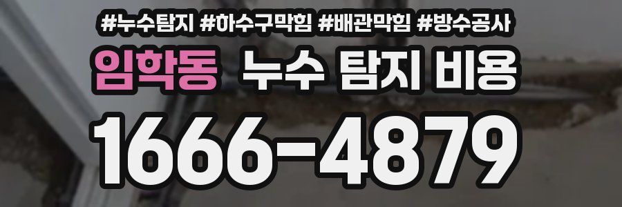 임학동 누수 탐지 비용