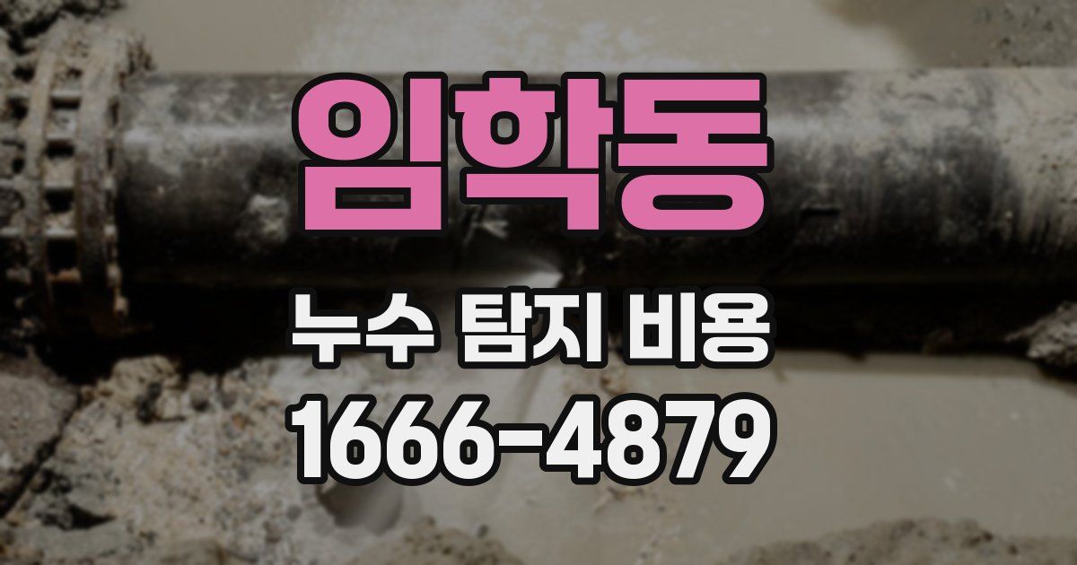 임학동 누수 탐지 비용