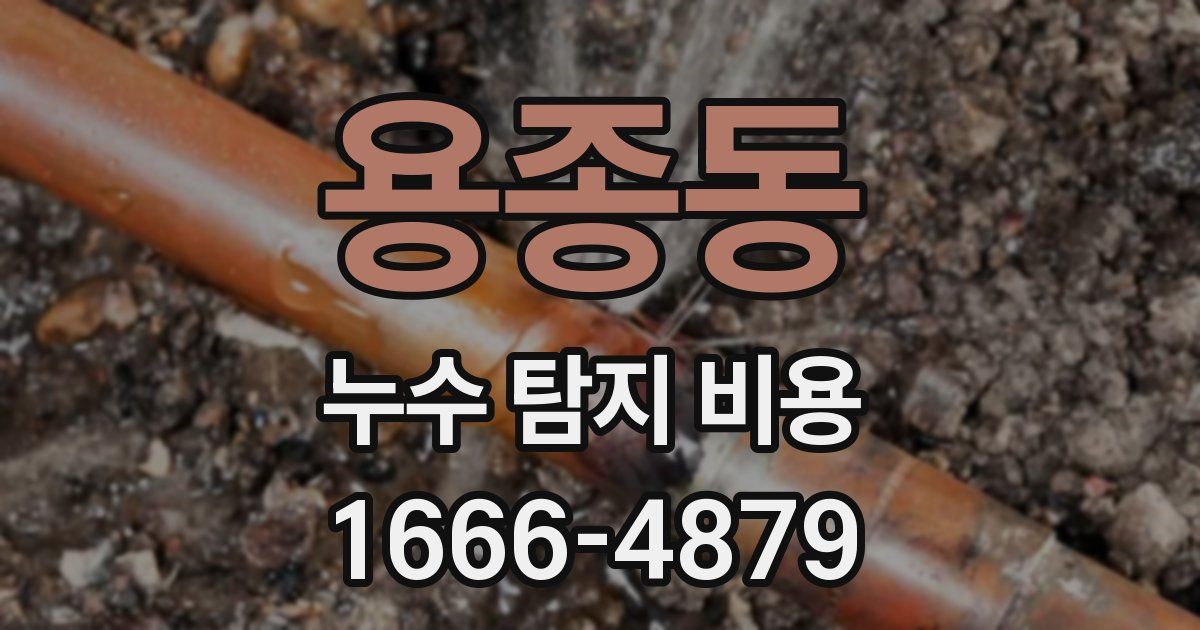 용종동 누수 탐지 비용