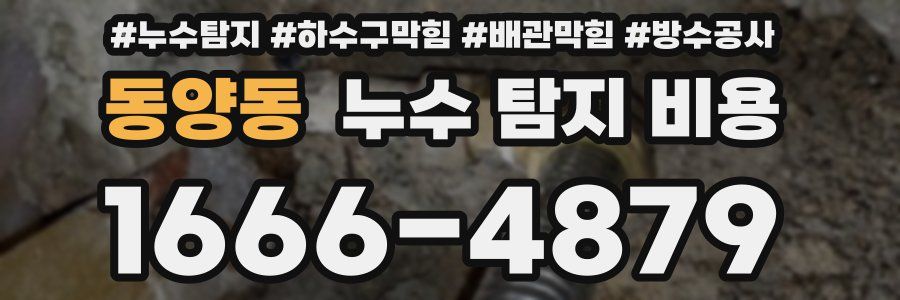 동양동 누수 탐지 비용