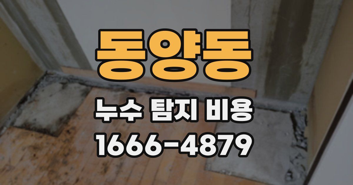 동양동 누수 탐지 비용