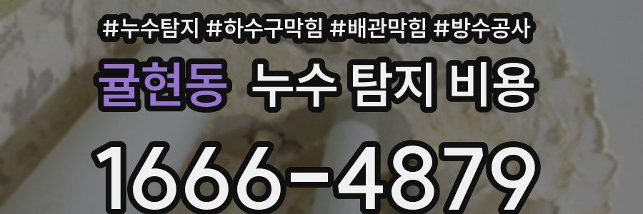 귤현동 누수 탐지 비용
