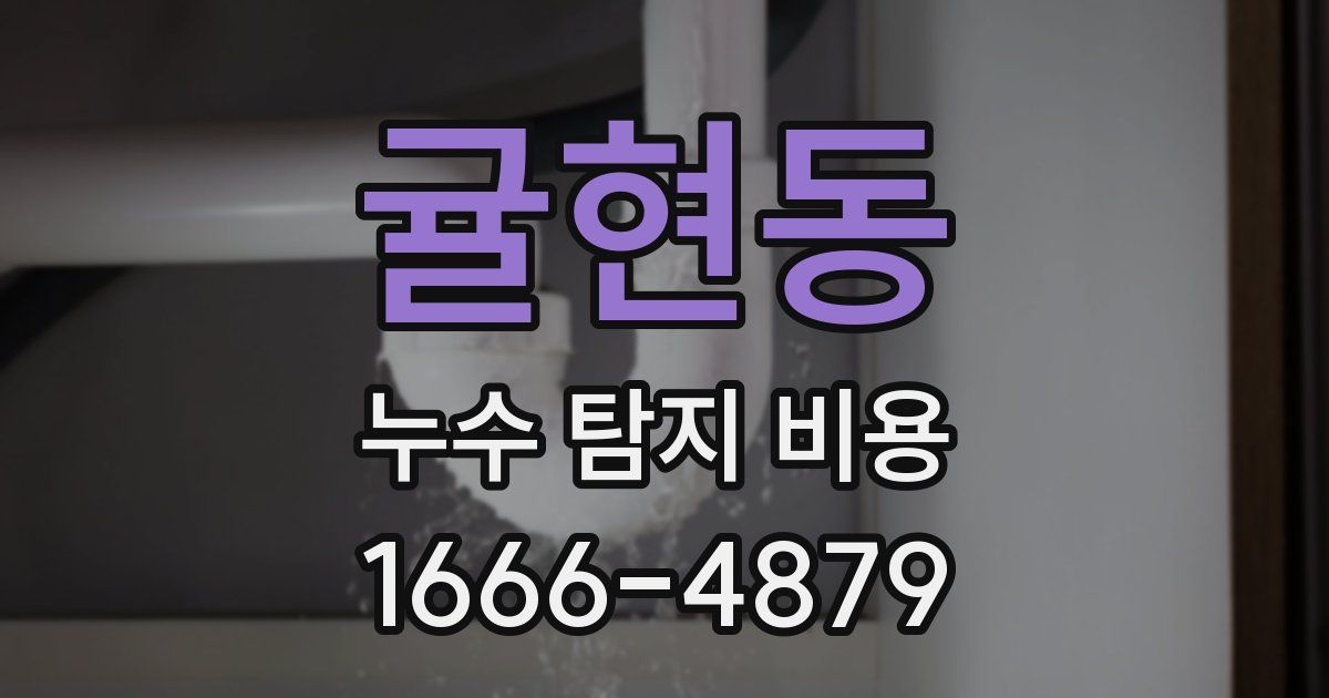 귤현동 누수 탐지 비용