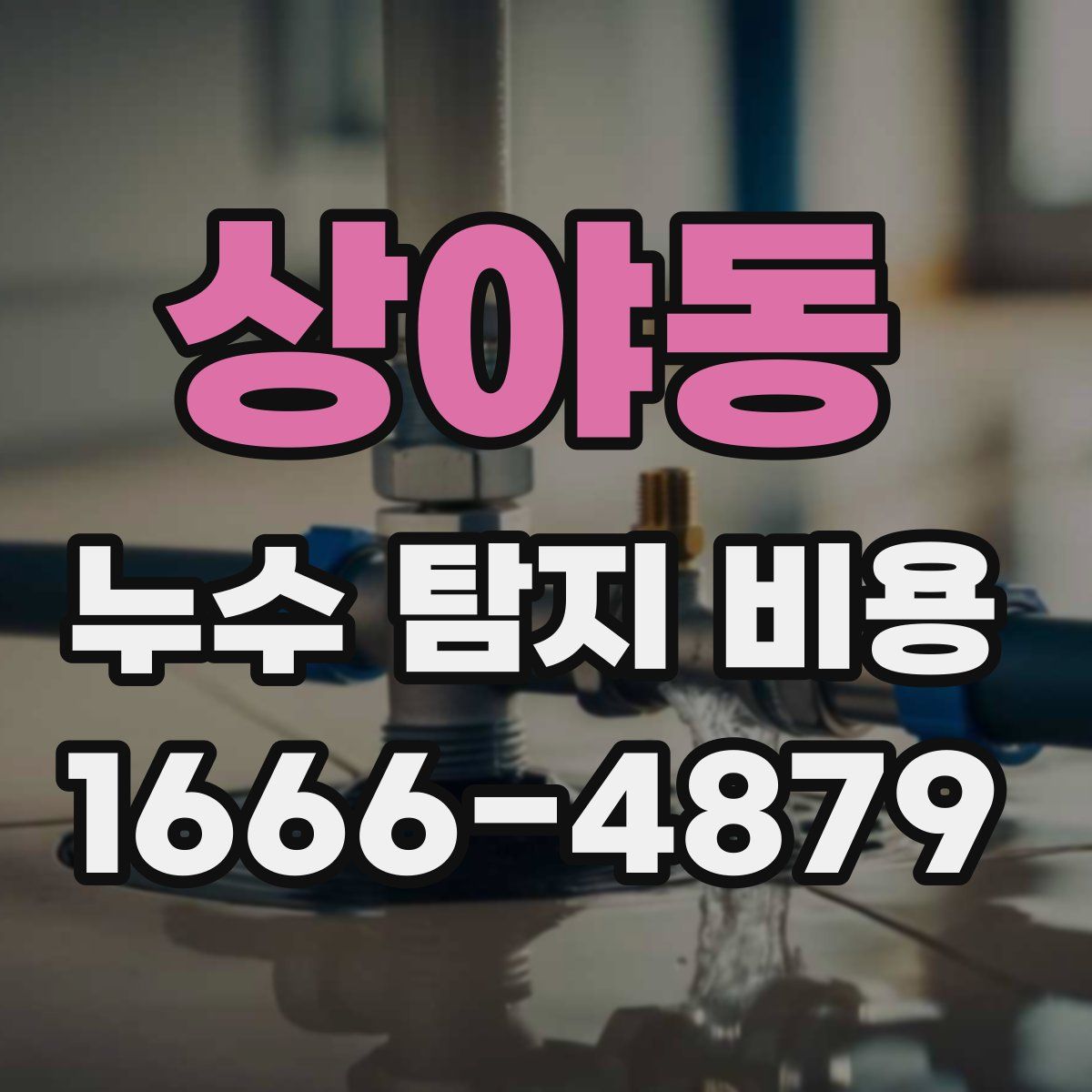 상야동 누수 탐지 비용