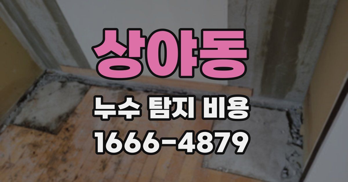 상야동 누수 탐지 비용