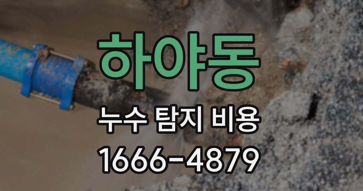 하야동 누수 탐지 비용