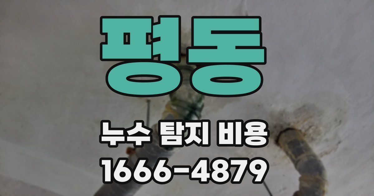 평동 누수 탐지 비용