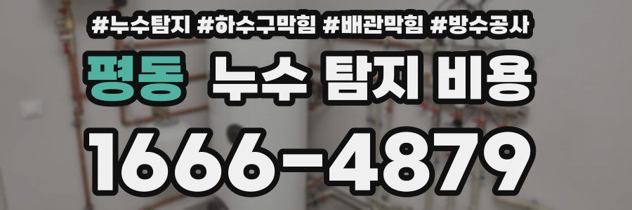 평동 누수 탐지 비용