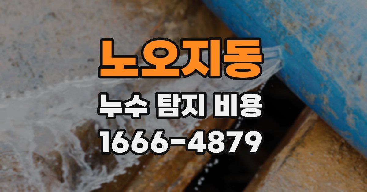 노오지동 누수 탐지 비용