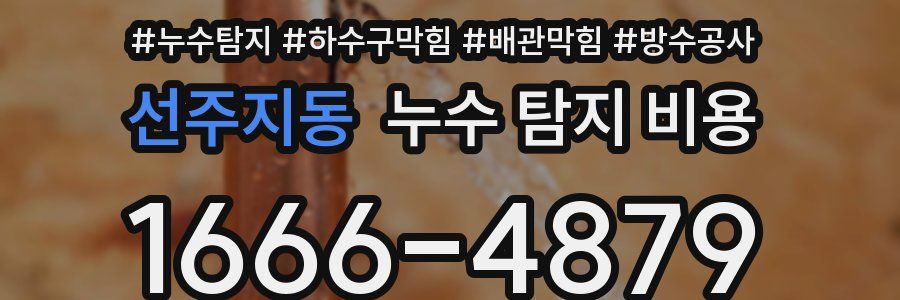 선주지동 누수 탐지 비용