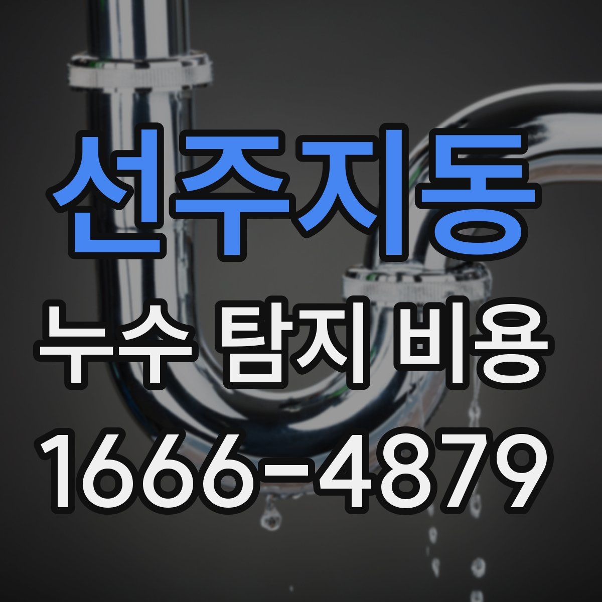 선주지동 누수 탐지 비용