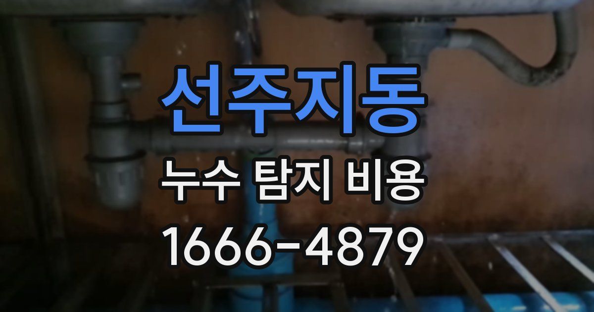 선주지동 누수 탐지 비용