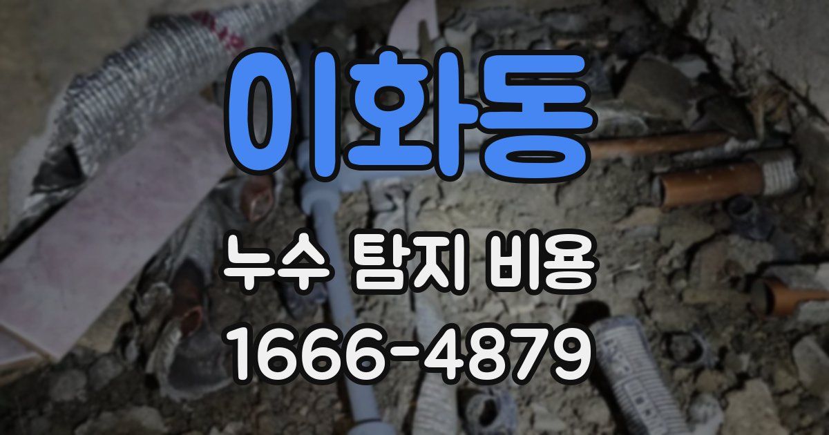 이화동 누수 탐지 비용