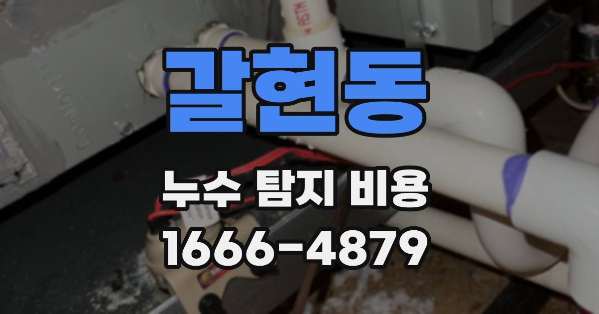 갈현동 누수 탐지 비용