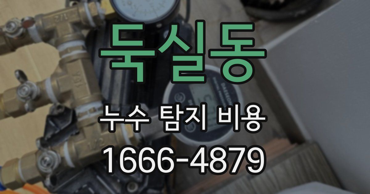 둑실동 누수 탐지 비용