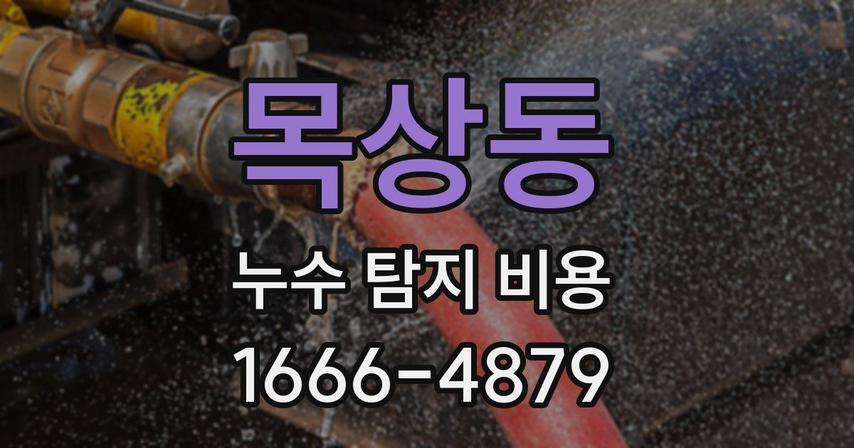 목상동 누수 탐지 비용