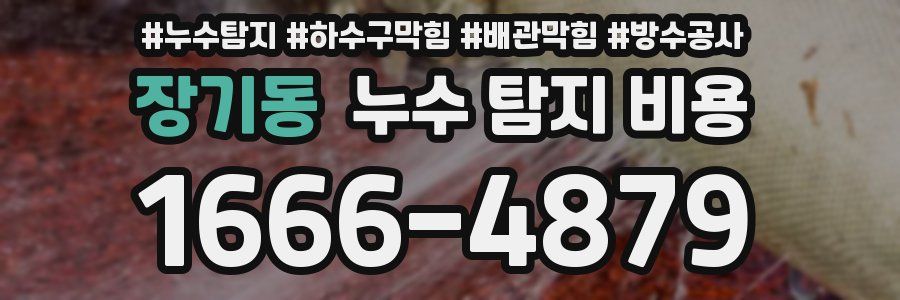 장기동 누수 탐지 비용
