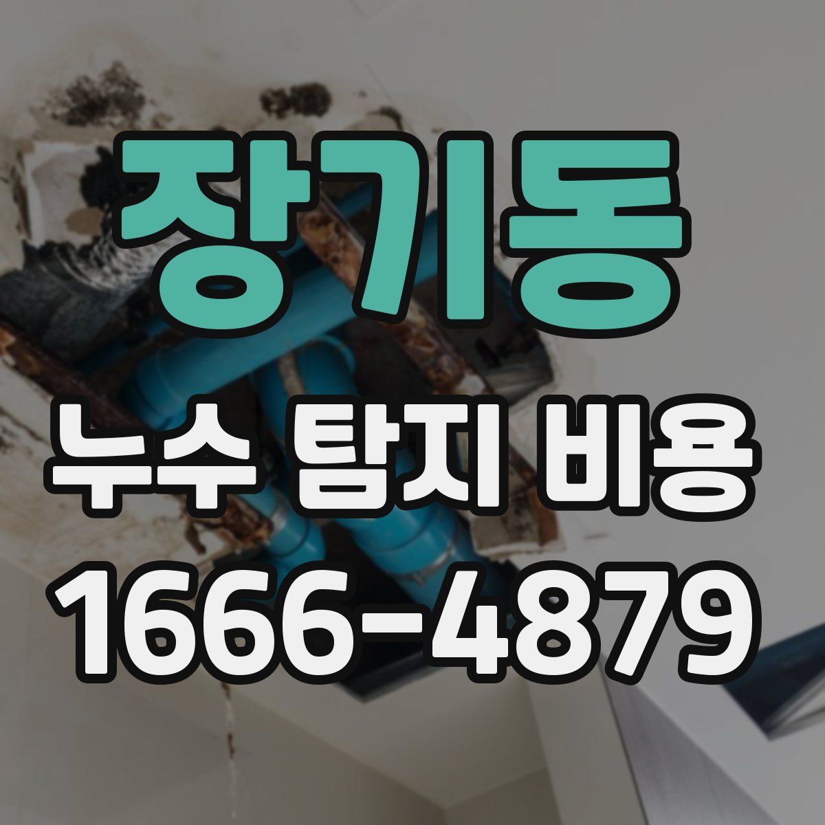 장기동 누수 탐지 비용