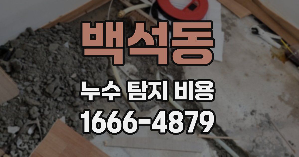 백석동 누수 탐지 비용