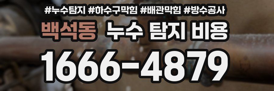 백석동 누수 탐지 비용