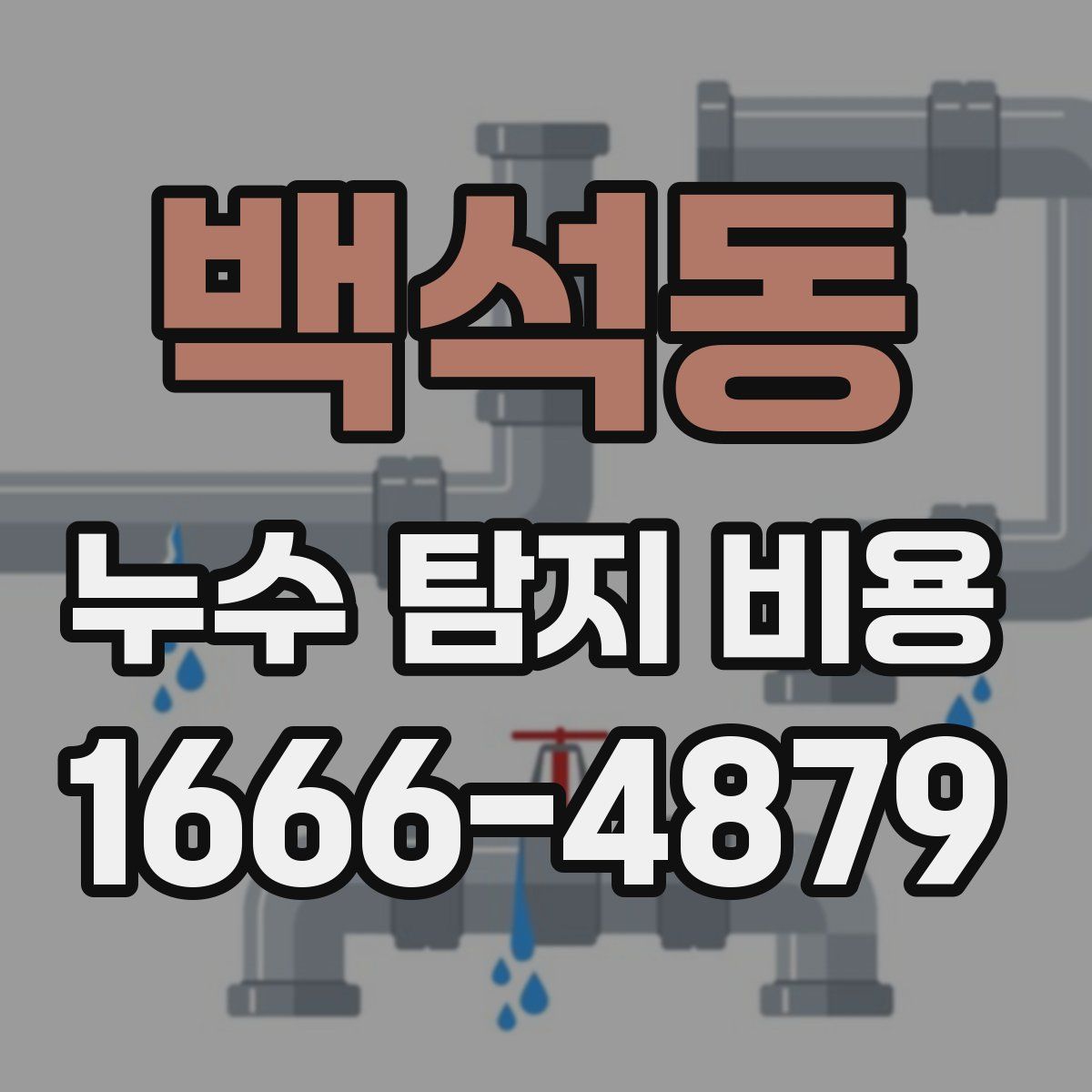 백석동 누수 탐지 비용