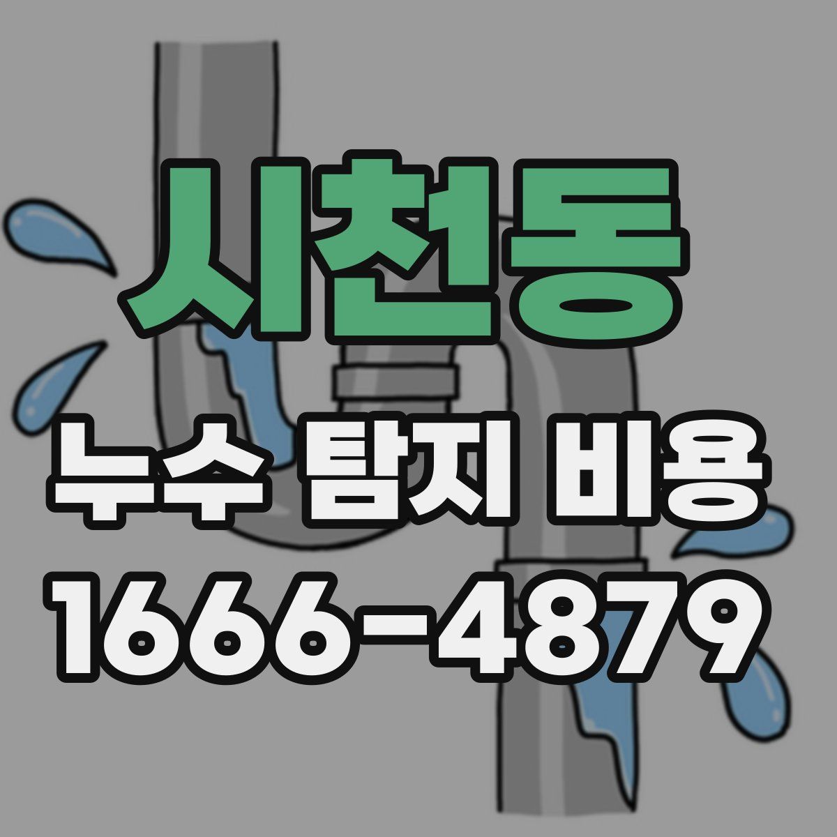 시천동 누수 탐지 비용
