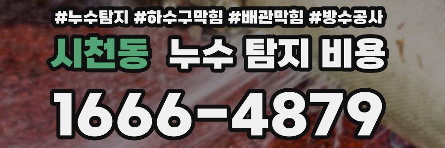 시천동 누수 탐지 비용