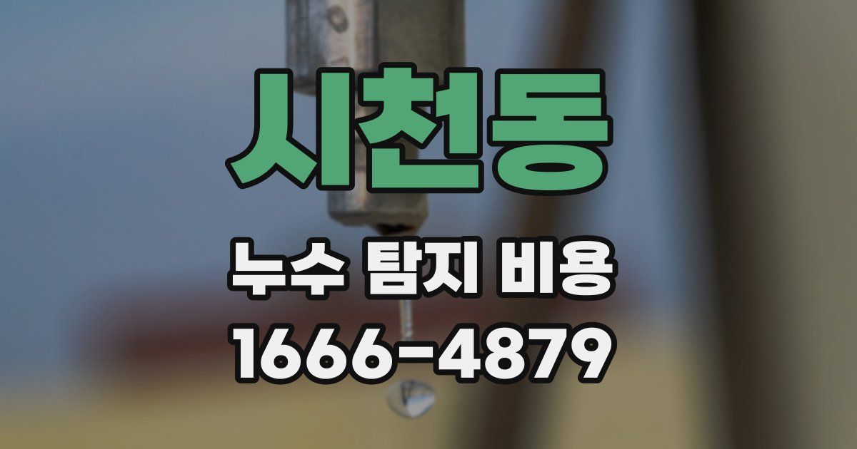 시천동 누수 탐지 비용