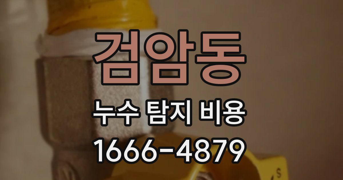 검암동 누수 탐지 비용