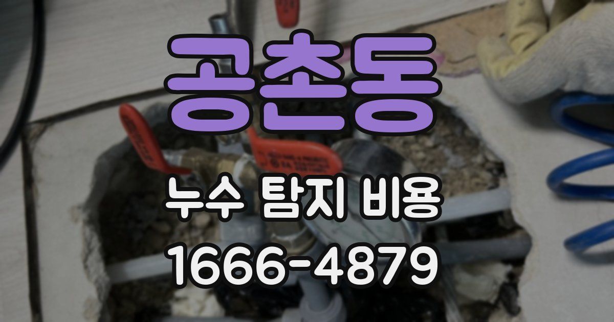 공촌동 누수 탐지 비용
