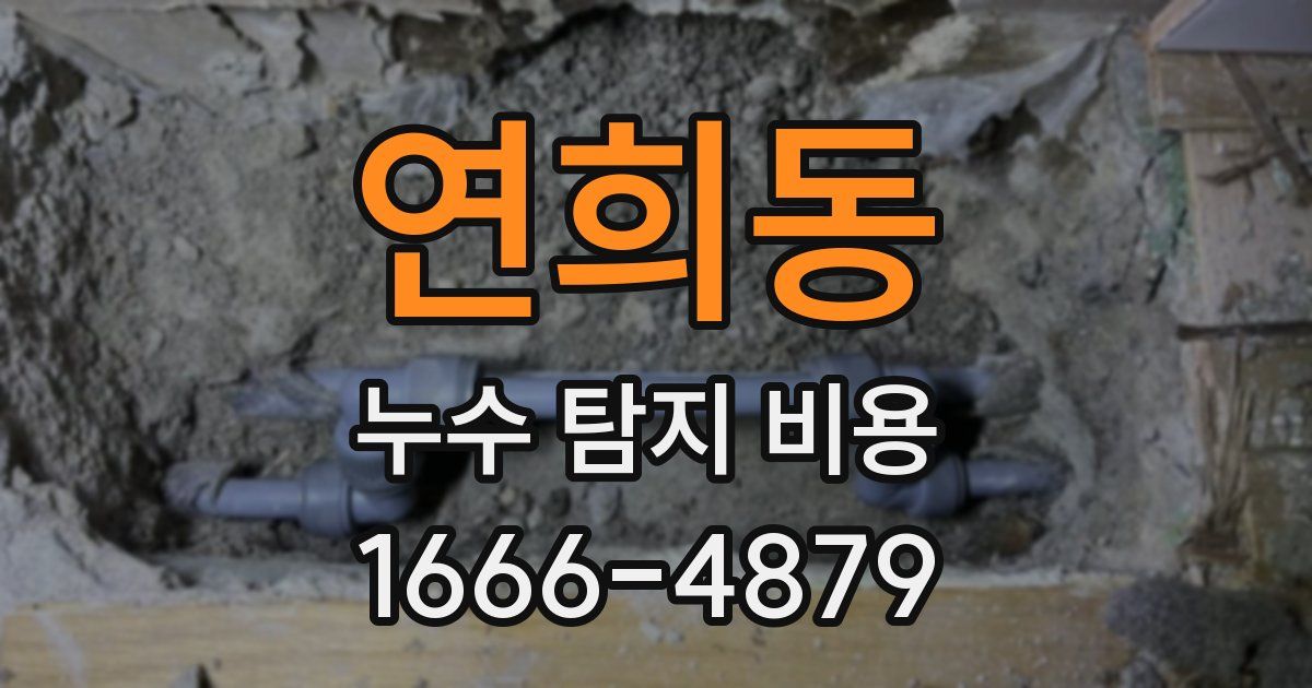 연희동 누수 탐지 비용