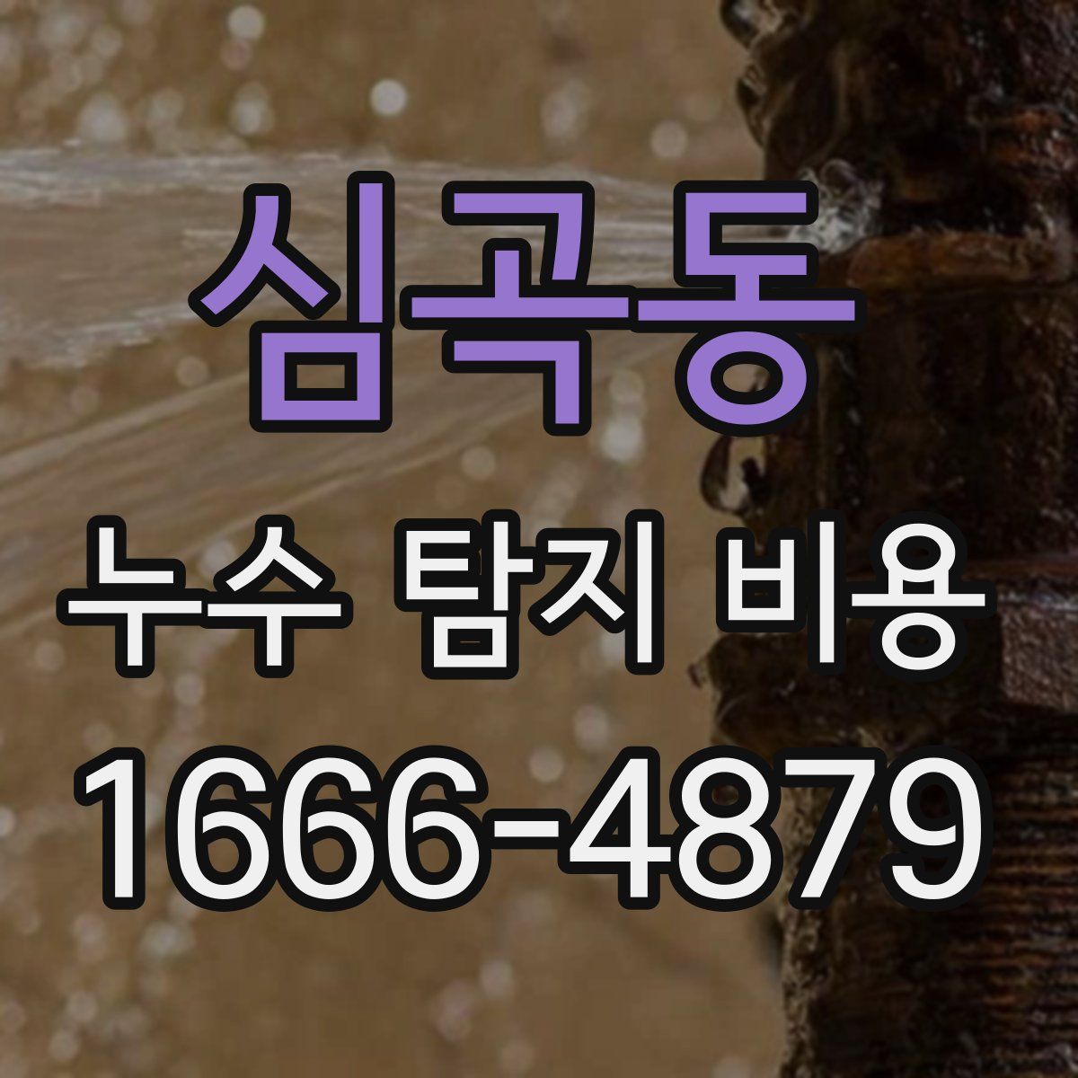 심곡동 누수 탐지 비용