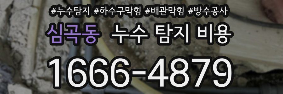 심곡동 누수 탐지 비용