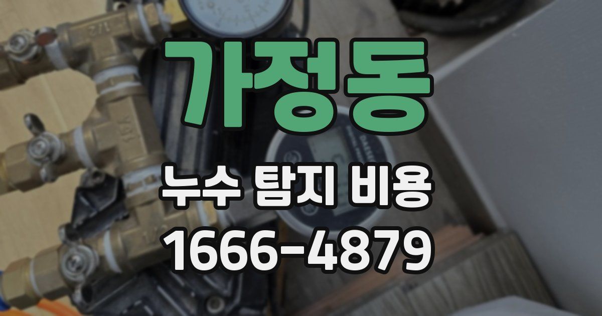 가정동 누수 탐지 비용