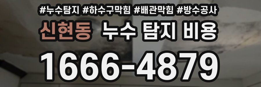 신현동 누수 탐지 비용