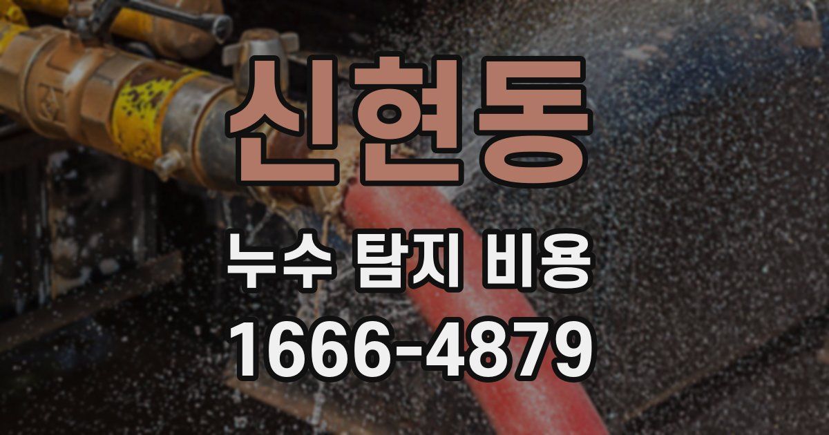 신현동 누수 탐지 비용