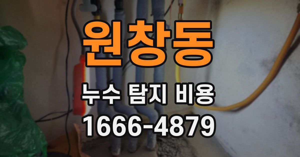 원창동 누수 탐지 비용