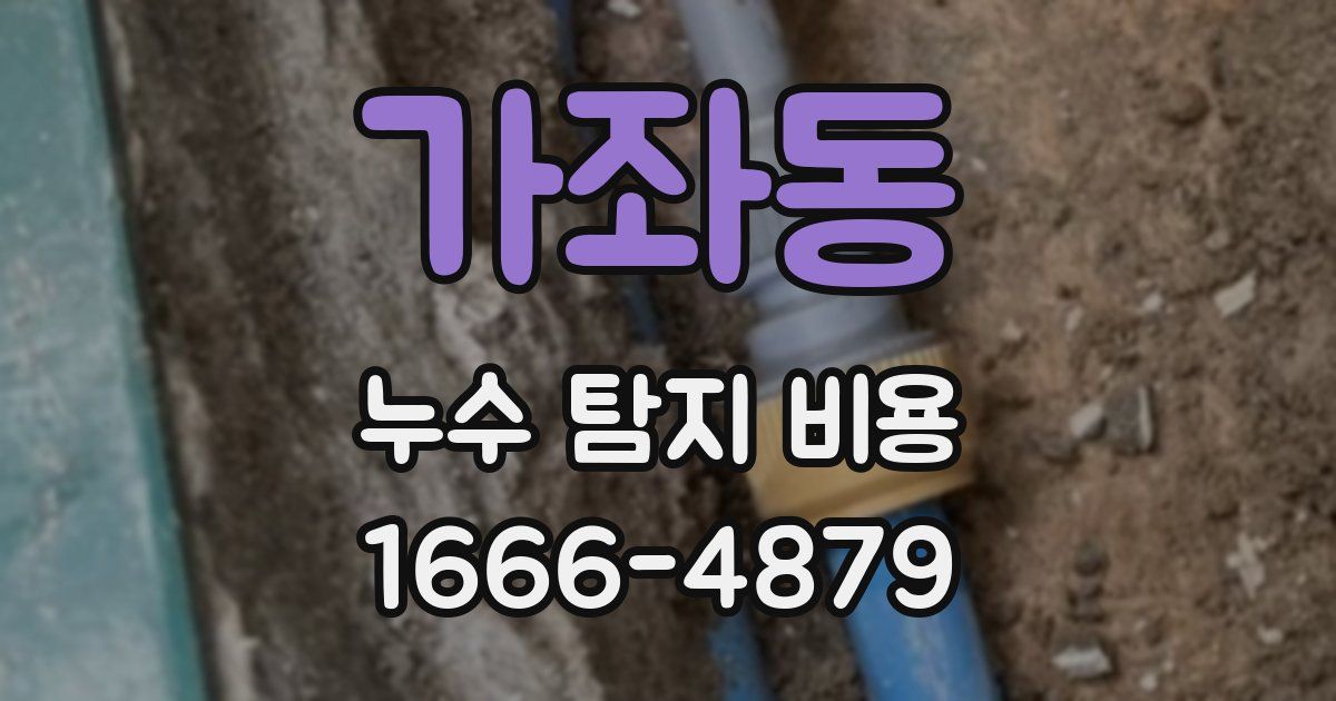 가좌동 누수 탐지 비용