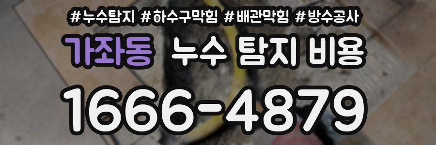 가좌동 누수 탐지 비용