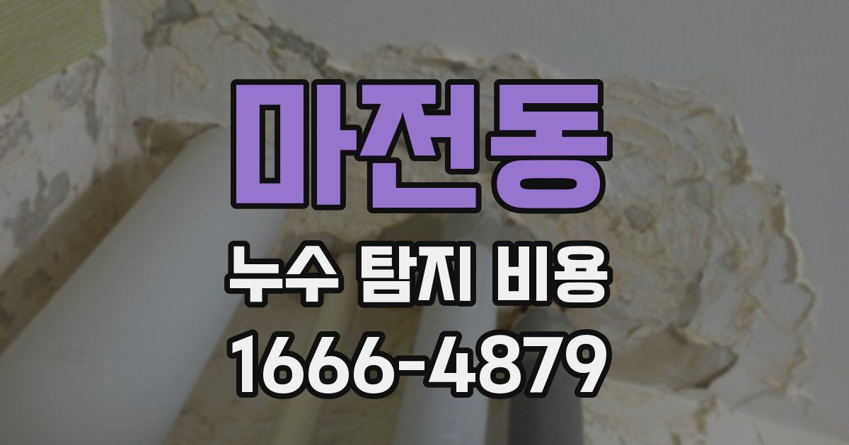 마전동 누수 탐지 비용