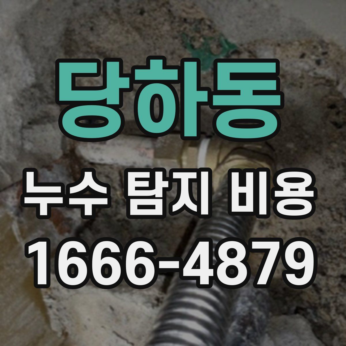 당하동 누수 탐지 비용
