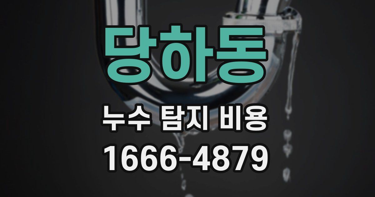 당하동 누수 탐지 비용