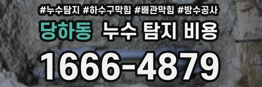 당하동 누수 탐지 비용