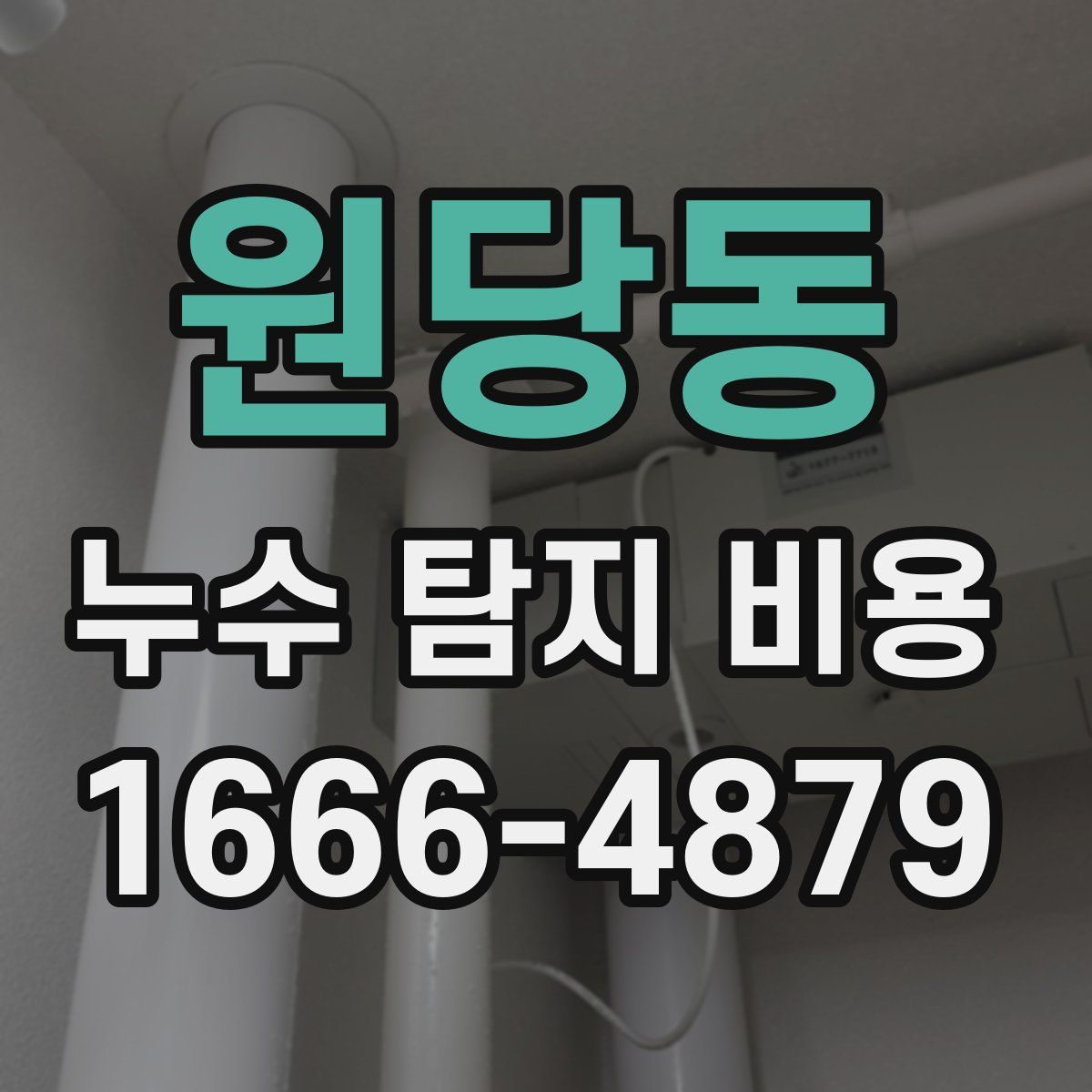 원당동 누수 탐지 비용