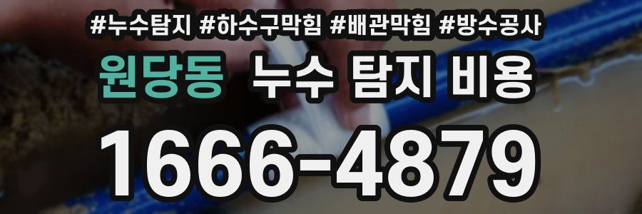 원당동 누수 탐지 비용
