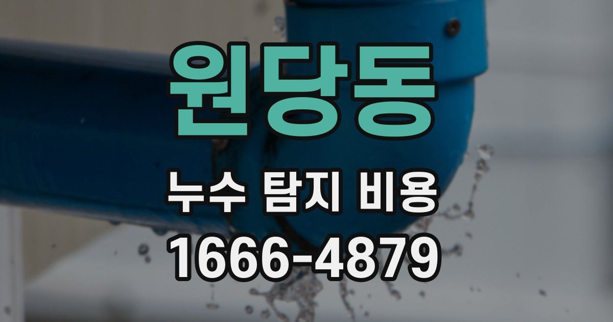 원당동 누수 탐지 비용