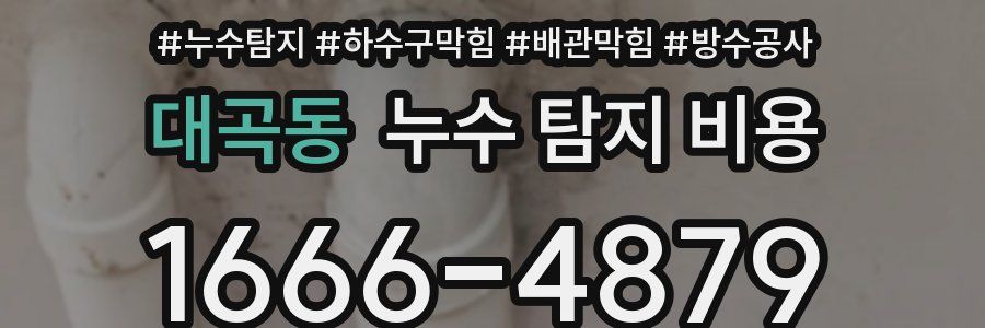 대곡동 누수 탐지 비용
