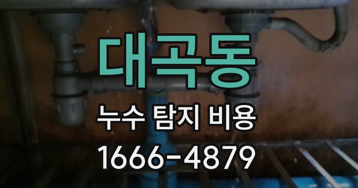 대곡동 누수 탐지 비용