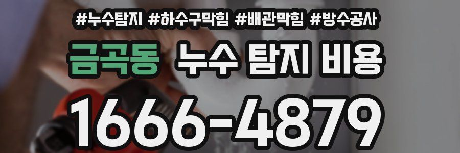 금곡동 누수 탐지 비용