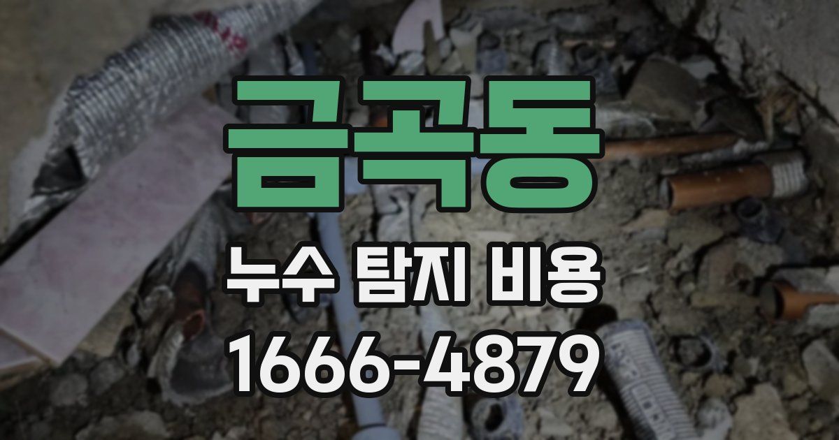 금곡동 누수 탐지 비용